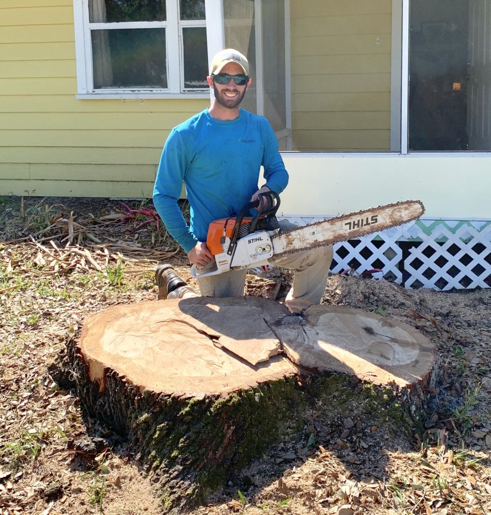 Tree Service Tree Removal Palm Bay FL Melbourne FL