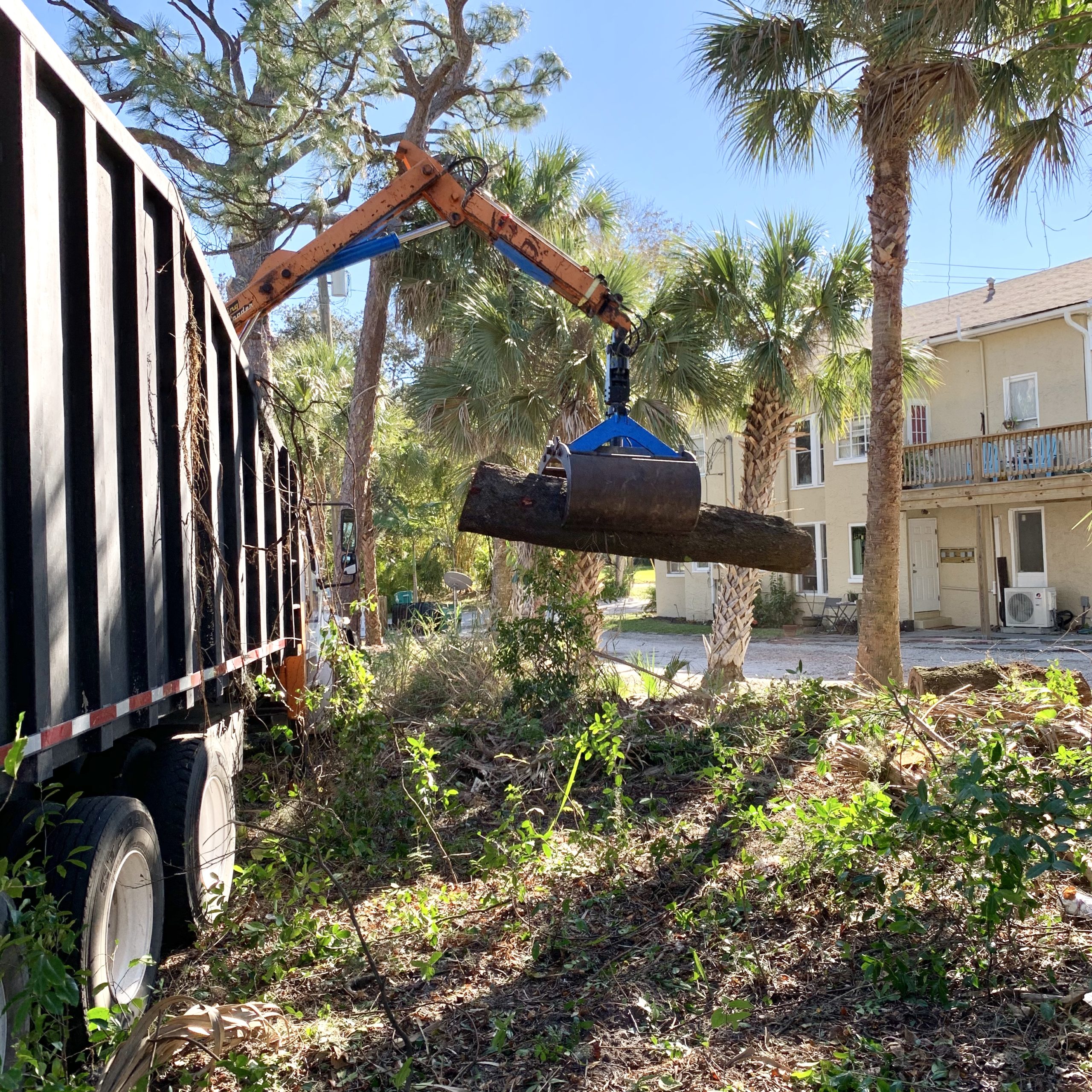 Tree Service Melbourne Tree Service Palm Bay ISA Certified Arborist