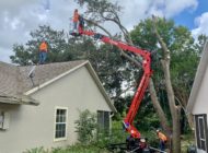 ISA Certified Arborist Melbourne Palm Bay